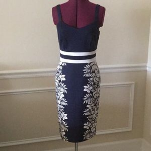 Spense dress size 6